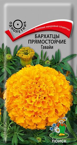 Семена цветов Бархатцы прямостоячие Гавайи Поиск, 0,4 г фото