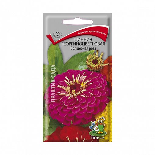 Семена цветов Цинния Георгиноцветковая Волшебная роза Поиск, 0,4 г фото