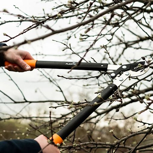 Сучкорез плоскостной Plantic by Fiskars P301, 575 мм фото