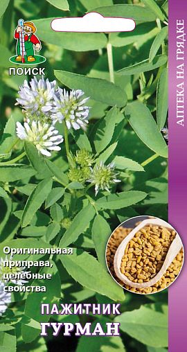 Семена Пажитник Гурман Поиск Аптека на грядке, 20 шт фото