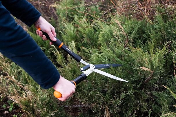 Ножницы для живой изгороди Plantic by Fiskars PRO380, 595 мм фото
