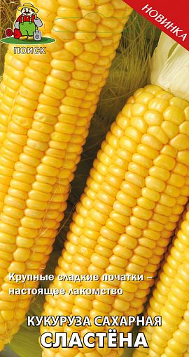 Семена Кукуруза сахарная Сластена Поиск, 5 г фото
