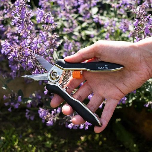 Ножницы для маленьких растений Plantic by Fiskars, прямые, 170 мм фото