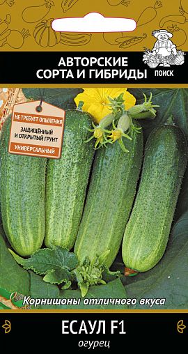 Семена Огурец Есаул F1 Поиск Авторские сорта и гибриды, 12 шт фото