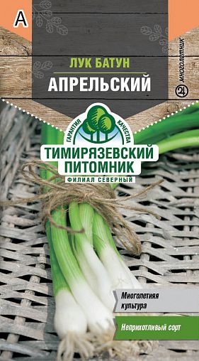 Семена Лук-батун Апрельский Тимирязевский питомник, 1 г фото