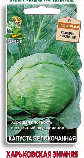Семена Капуста белокочанная Харьковская зимняя Поиск, 0,5 г фото