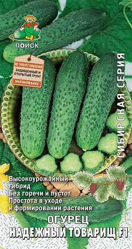 Семена Огурец Надежный товарищ F1 Поиск Сибирская серия, 12 шт фото