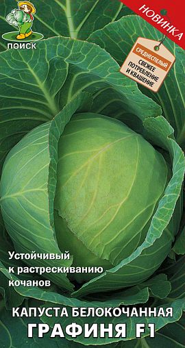 Семена Капуста белокочанная Графиня F1 Поиск, 0,2 г фото