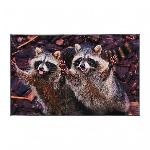 Коврик придверный Vortex Velur Веселые еноты, влаговпитывающий, 50 x 80 см фото Коврик придверный Vortex Velur Веселые еноты, влаговпитывающий, 50 x 80 см фото