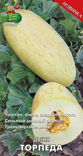 Семена Дыня Торпеда Поиск, 15 шт фото