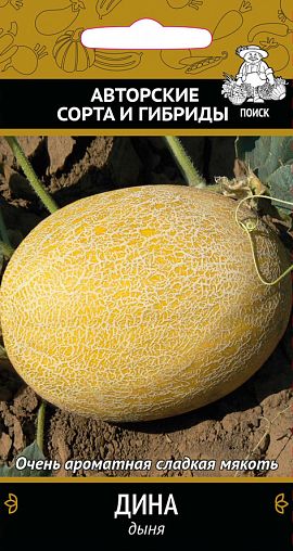 Семена Дыня Дина Поиск Авторские сорта и гибриды, 15 шт фото