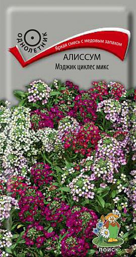 Семена цветов Алиссум Мэджик циклес микс Поиск, 0,1 г фото