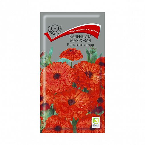 Семена цветов Календула Махровая Ред виз блэк центр Поиск, 0,4 г фото