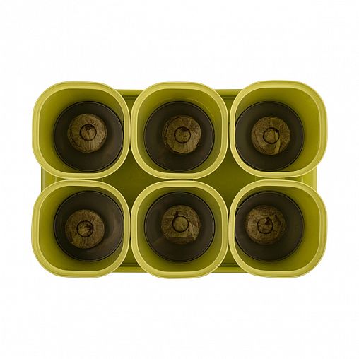 Набор горшочков для рассады InGreen, с поддоном,c торфяными таблетками, 400 мл, 6 шт фото