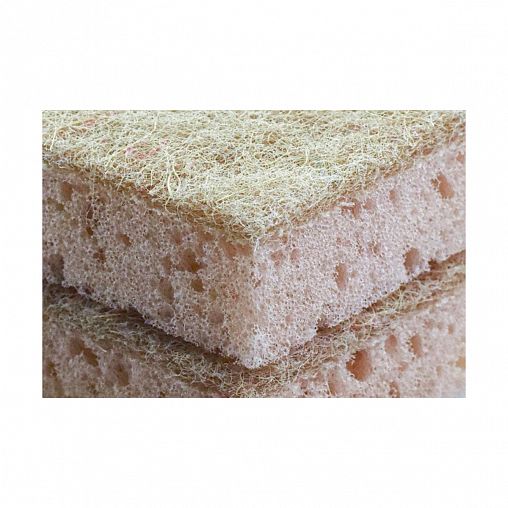 Губки для посуды Master Fresh Эко XXL, с агавой, 2 шт фото