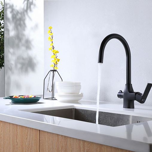 Смеситель для кухни Lemark Ursus LM7261BL, с подключением к фильтру, однорычажный, черный фото