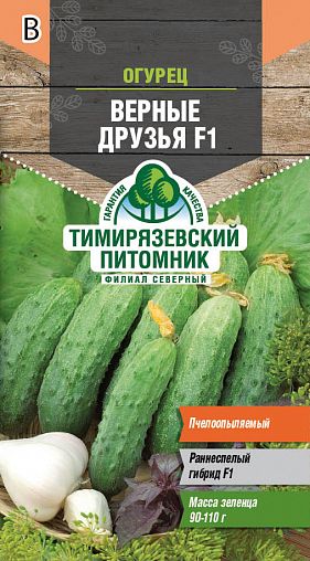 Семена Огурец Верные друзья F1 Тимирязевский питомник, 10 шт фото