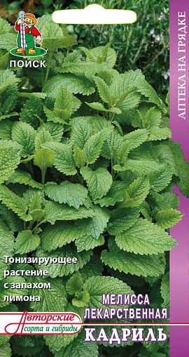 Семена Мелисса лекарственная (лимонная мята) Кадриль Поиск Аптека на грядке, 0,1 г фото