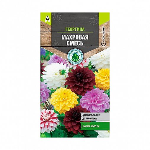 Семена цветов Георгина Махровая Смесь Тимирязевский питомник, 0,2 г фото