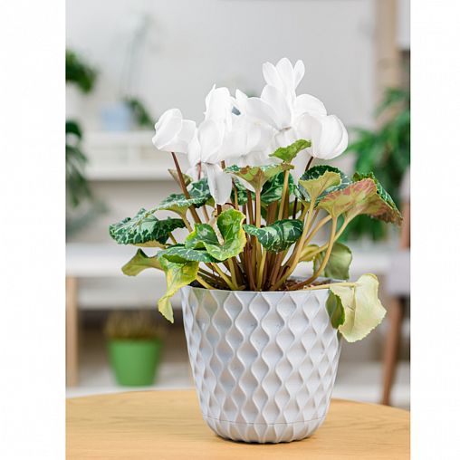 Горшок для цветов InGreen Wave, с поддоном, 2,5 л, утренний туман фото