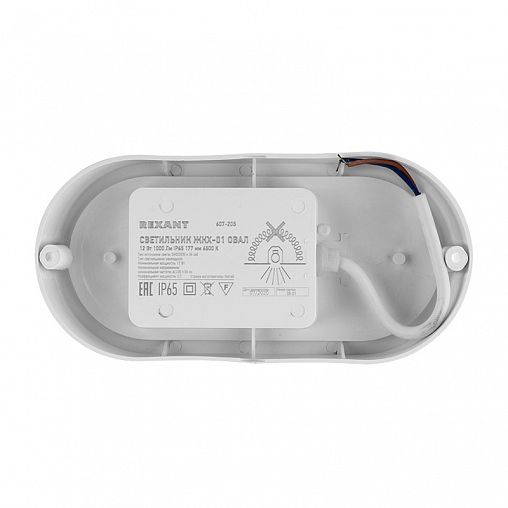 Светильник светодиодный Rexant ЖКХ-01, овальный, 12 Вт, 6500 К, IP65 фото