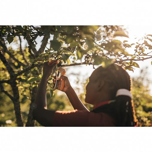 Секатор плоскостной Fiskars Plus PowerLever P751, 285 мм фото