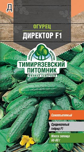 Семена Огурец Директор F1 Тимирязевский питомник, 5 шт фото