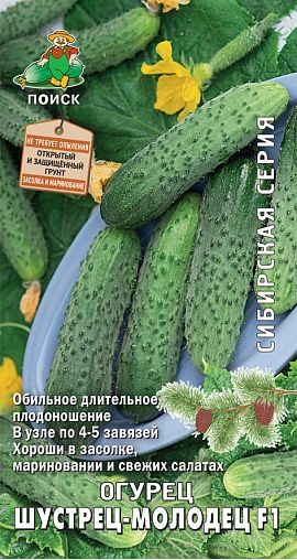 Семена Огурец Шустрец-молодец F1 Поиск Сибирская серия, 12 шт фото