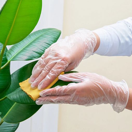 Перчатки виниловые неопудренные Aviora, размер M, упаковка 100 шт фото