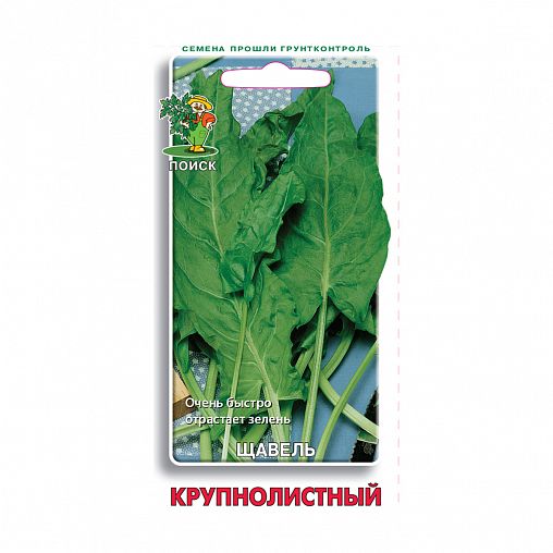 Семена Щавель Крупнолистный Поиск, 0,5 г фото