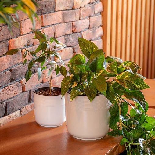 Горшок для цветов Альтернатива Линель, с автополивом, 6 л, бежевый фото