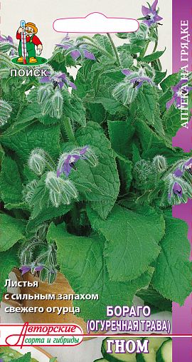 Семена Бараго (огуречная трава) Гном Поиск Аптека на грядке, 0,5 г фото