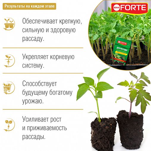 Удобрение жидкое Bona forte для рассады, 10 мл фото