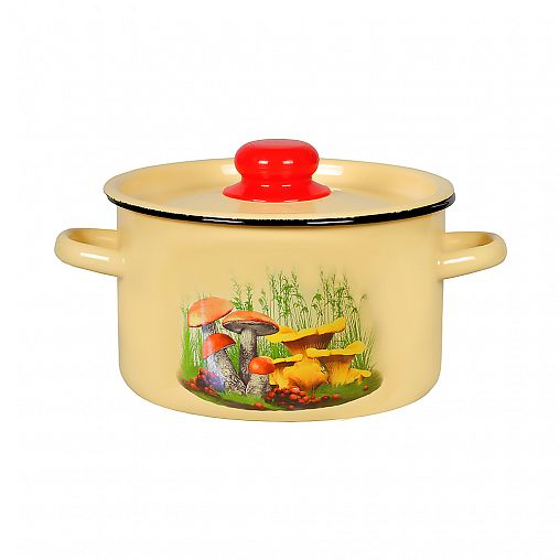 Кастрюля эмалированная СтальЭмаль с крышкой, 2,9 л, с декором фото