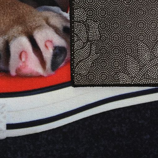 Коврик придверный Vortex Velur Щенок, влаговпитывающий, 40 x 60 см фото