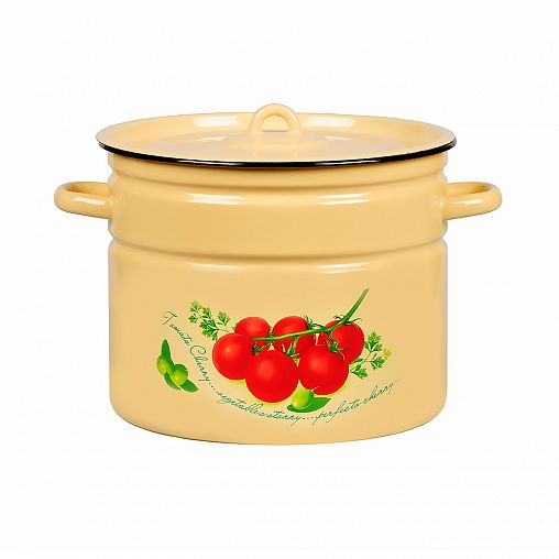 Кастрюля эмалированная СтальЭмаль с крышкой, 9 л, с декором фото