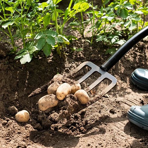 Вилы садовые Plantic by Fiskars Terra, с металлическим черенком и ручкой, 1200 мм фото