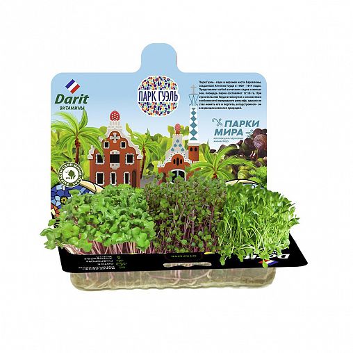 Набор для выращивания микрозелени Darit, капуста, салат, мизуна, 3 г фото
