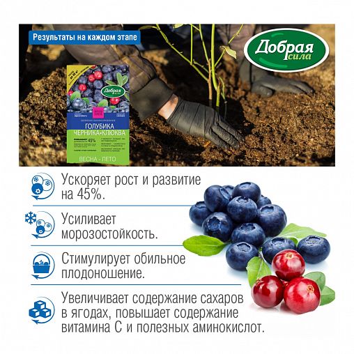 Удобрение Добрая сила Голубика-черника-клюква, 2 кг фото