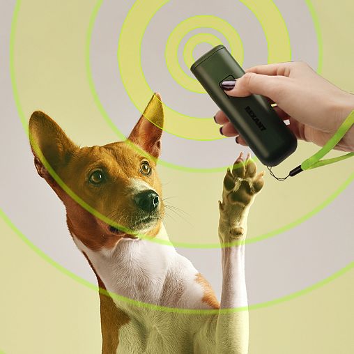 Отпугиватель-тренер собак Rexant, ультразвуковой, на батарейке, 13 x 4 x 3 см фото