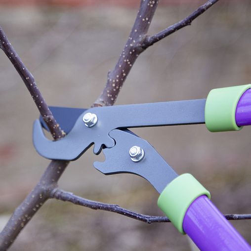 Сучкорез с наковаленкой Don Gazon, 750 мм фото