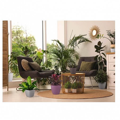 Горшок для цветов InGreen Vienna, 5 л, французский платан фото