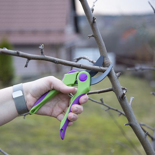 Секатор прямой Don Gazon, двухкомпонентные рукоятки, 200 мм фото