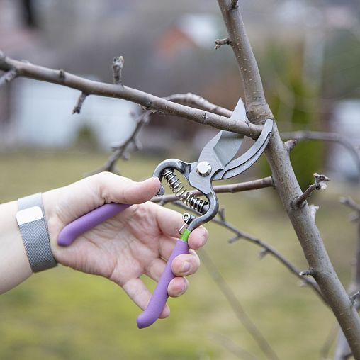 Секатор прямой Don Gazon, цельнометаллический, обрезиненные рукоятки, 200 мм фото