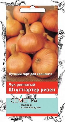 Семена Лук репчатый Штутгартер ризен Семетра, 1 г фото