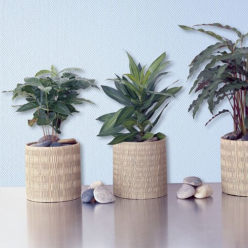 Стеклообои Wellton Optima Елка мелкая, 1 x 25 м фото