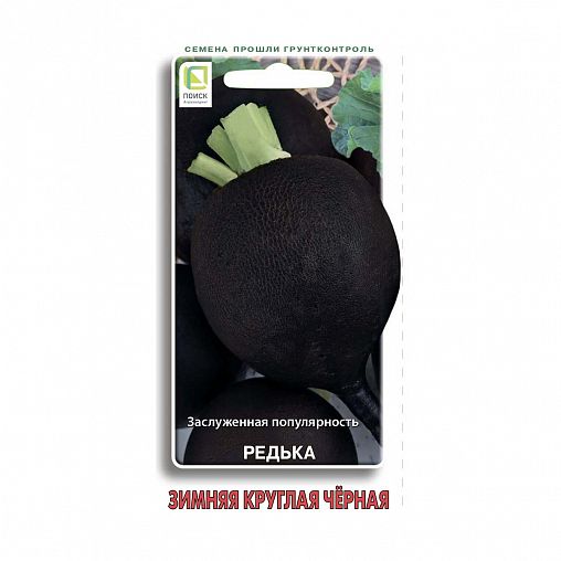 Семена Редька зимняя Круглая черная Поиск, 2 г фото