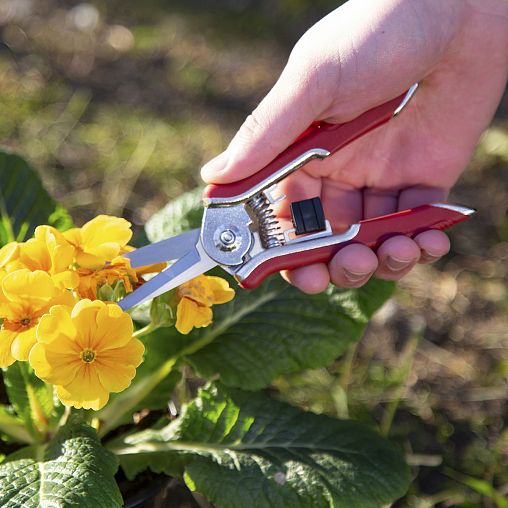 Секатор цветочный Feona, обрезиненные рукоятки, 160 мм фото