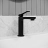 Смеситель для раковины с коротким изливом IDDIS Parker, черный матовый фото