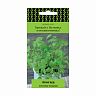 Семена Кориандр Авангард Поиск Четыре лета, 1 г фото